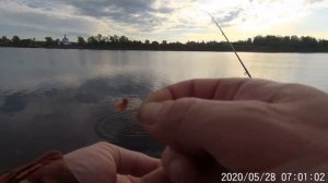 2020 05 28 Фидер на Волге в Угличе   Он мой кончик фидера шатал