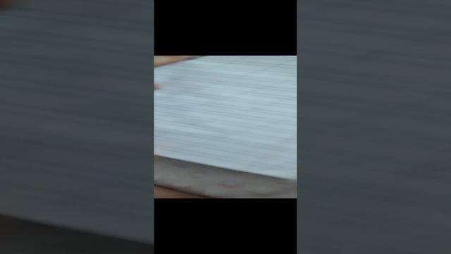 софа василиса 