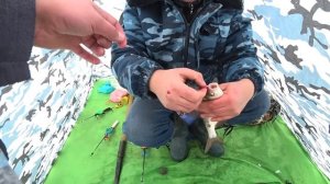 ОНИ ПРУТ на ВЫМЯ и ЗИМНЮЮ ДОНКУ! Лучшая зимняя рыбалка 2023