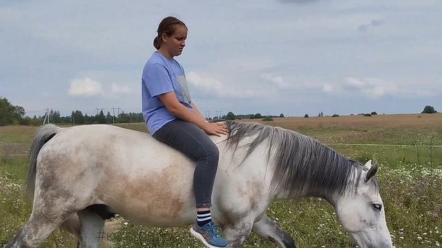 Даша и Фаир. Управление без оголовья на шагу.