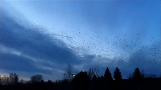 10000000 1825156860949140 7218813325528793088 n смотреть онлайн