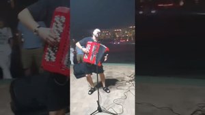 терминатор кавер на баяне