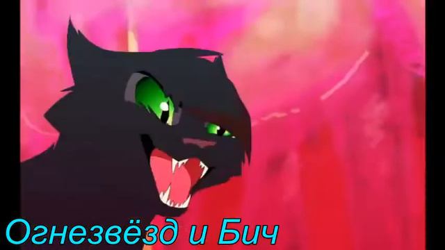 Бека и Ежевика-Сумашедший русский(заказ с канала Кёсем warriors cat) смотреть онлайн