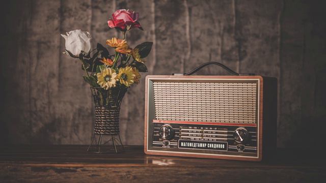 ТОП 20. МАГОМЕДТАМИР СИНДИКОВ - ВСЕ ПЕСНИ смотреть онлайн