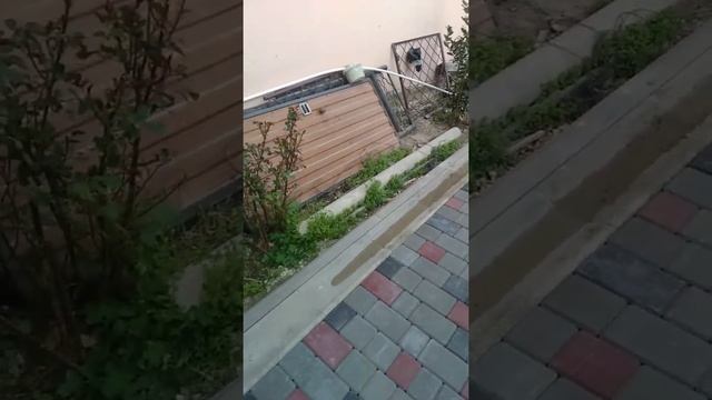 Объект Анапа Ул. Кирова 46а Завершен. смотреть онлайн