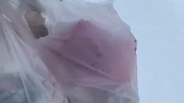 Дача, снег в Подмосковье . Потепление. Весна скоро☀️ смотреть онлайн