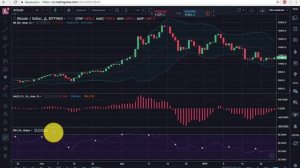 Лучшие индикаторы для торговли криптовалютой