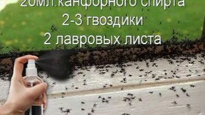 Натуральное средство от мух и комаров