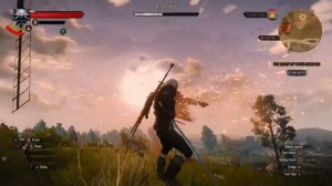 The Witcher 3: Wild Hunt - Part 5 - GRIFFIN - Walkthrough Playthrough Gameplay No commentary