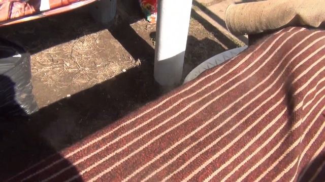 ОБРЕЗАЛИ ГРУШУ УБРАЛИСЬ НА УЧАСТКЕ И ВСЁ ПОДКОРМИЛИ смотреть онлайн