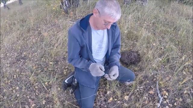 Где искать золото и серебро! смотреть онлайн