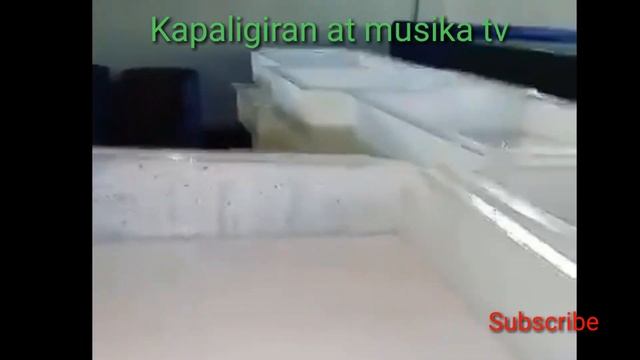 NATA DE COCO PRODUCTION tinaguriang WHITE GOLD смотреть онлайн