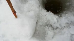 18.03.2019. Щука 11,05 кг. Река Татьянка. Новокуйбышевск