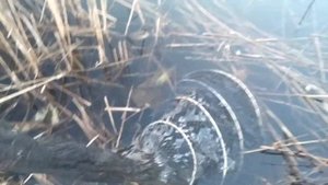 Видео Рыбалка в Павловском Посаде