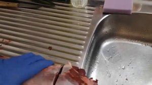 Разделка косули часть 4