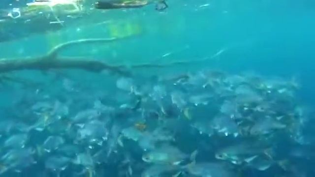 Гипероглиф 15.08.2017 Владивосток смотреть онлайн