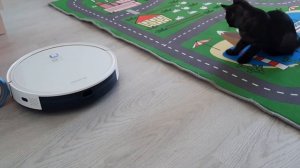 Робот-пылесос Polaris 1050  IQ Home Aqua. Настоящий помощник в доме, где есть дети ? и животные ?⬛