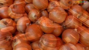 Лечение луковой шелухой