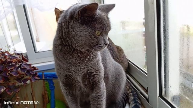 Кто-то пил,окно запотело... смотреть онлайн