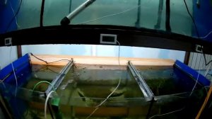 Стойка для аквариумов своими руками  Часть 2  Возникающие вопросы и их решение.