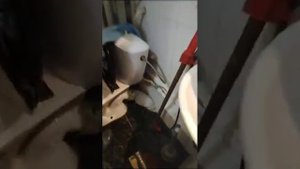 Устранить засор в стояке можно и не демонтируя унитаз. В работе "РОТЕНБЕРГЕР 650".