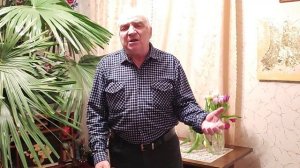 Николай Яскевич — Снежные хлопья садятся неслышно