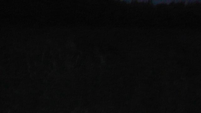 Gaisma - Coevolution смотреть онлайн