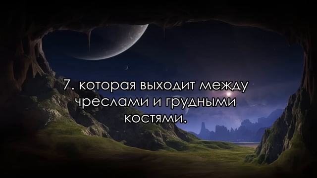 Сура 86. Ат-Тарик (Идущий ночью).avi смотреть онлайн