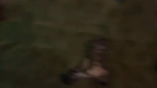 Котейка проснулся смотреть онлайн