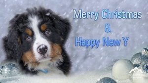 С Новым годом , с Рождеством . Знаешь друг мой скоро Новый год ! Песня для души !