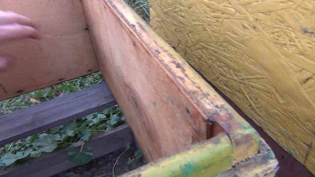 Ульи утепленные пенопластом