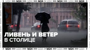 Желтый уровень погодной опасности из-за ливня и ветра объявили в столице 25 мая - Москва 24