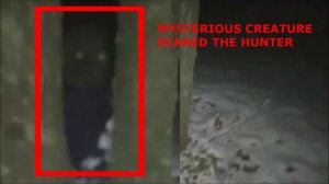 Загадочное существо напугало охотника в лесу. Это гуманоид или странное существо
