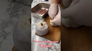 Українській "Мацик"
