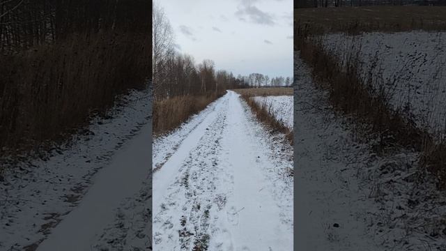 Видео с малой Родины. Калязинский район, Тверская область, п.Селищи.
Река Волга