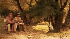 Молодой волкодав 9