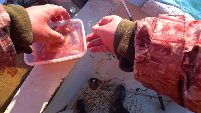 Поездка за камбалой в море. Сахалин рыбалка май 2022 смотреть онлайн