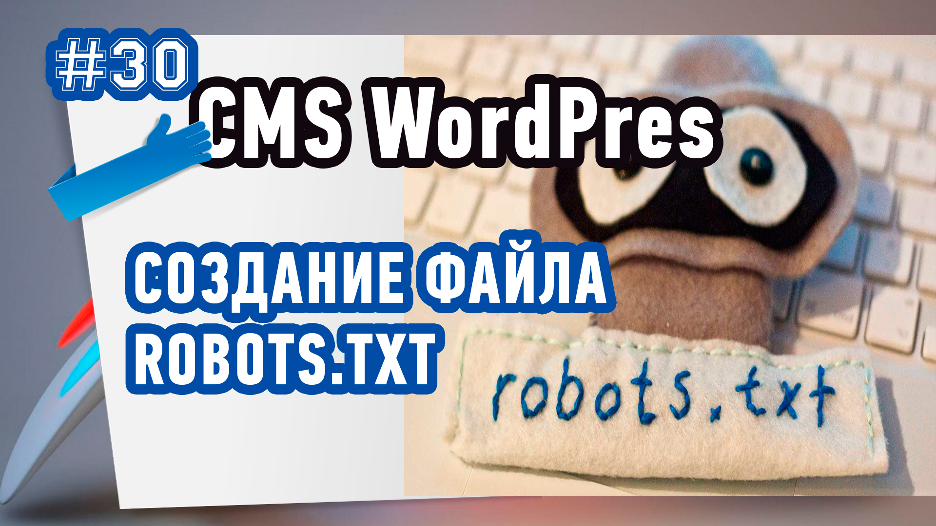 Создание файла Robots.txt с помощью плагина All In One Seo Pack