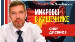 ?Избыточный бактериальный рост (СИБР), дисбактериоз в кишечнике: симптомы и нелекарственная терапия