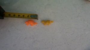 Выращиваем динозавров и кораллы Игрушки которые растут в воде