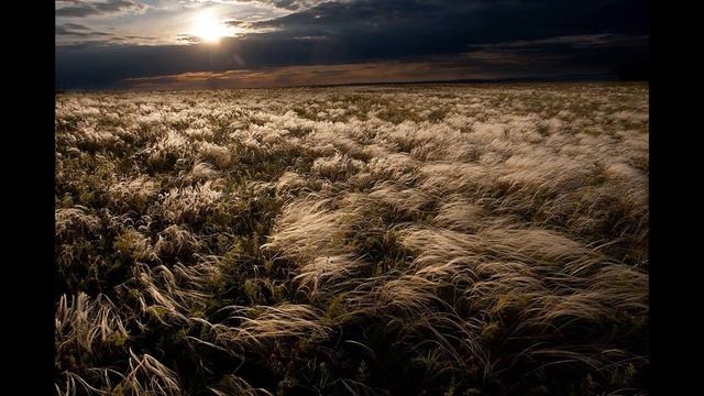 «Темная ночь», исполняет Светлана Губарева