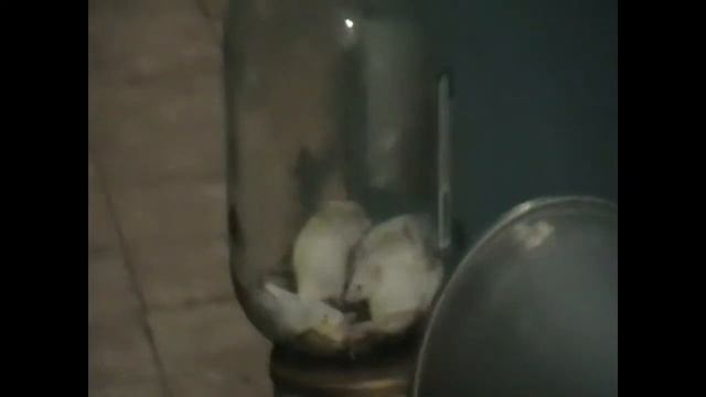 ИНФРАЗВУК смотреть онлайн