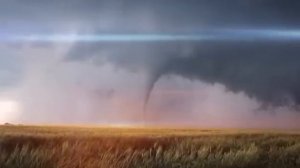 мы родились в сибири//приехали//обзор канала