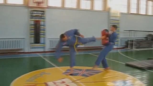 Красный Дракон. Подборка техник. Шелест Михаил.wmv смотреть онлайн