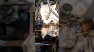 замена сальников клапанов J20A Suzuki гитара ?