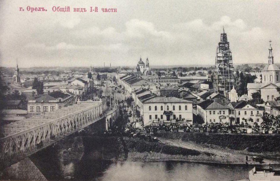 Старый орел фото