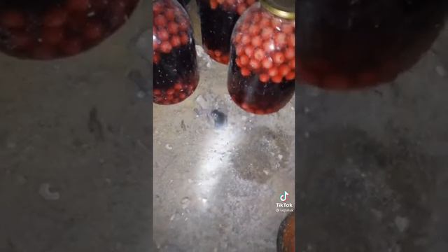 ДЕЛАЕТ ВИД ЧТО ШАРИТ ЗА ВЕНТЕЛЯТОР А САМ ПОЗЕР смотреть онлайн