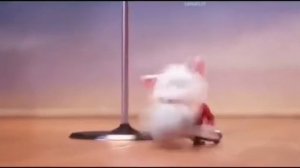 Зверапой тувинские песни