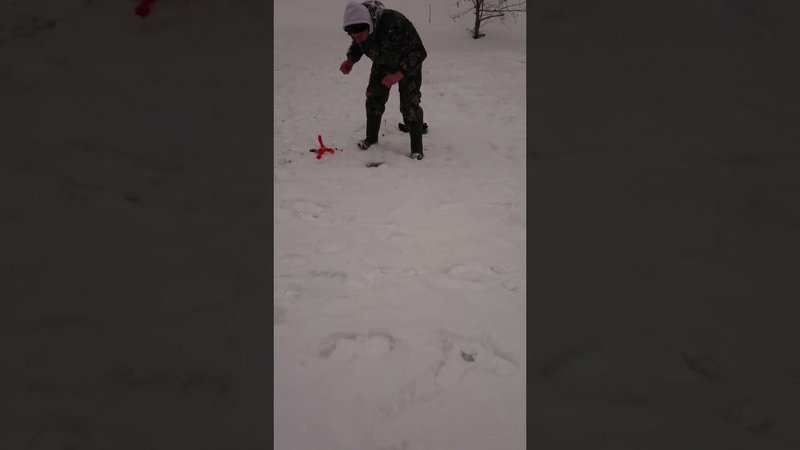 Все поимки со дна