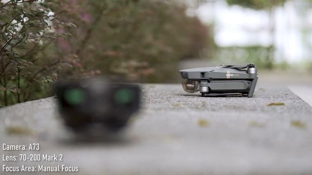 Sony 70-200 F2.8 Mark 1 vs Mark 2 Product Review | Worth the upgrade? смотреть онлайн